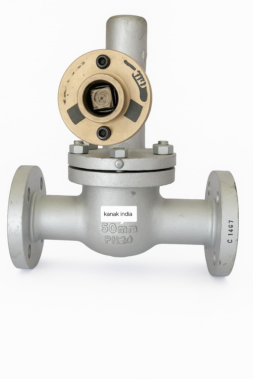 Blowdown Valve